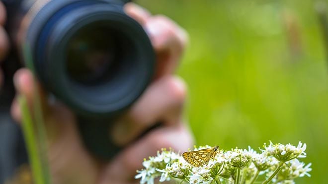 Take Better Nature Photos