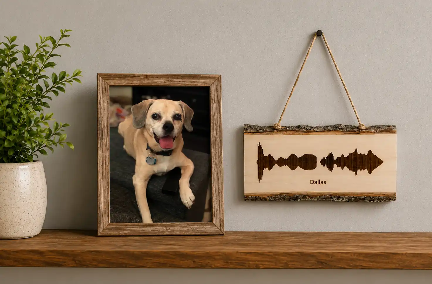 Preserve your pets sounds