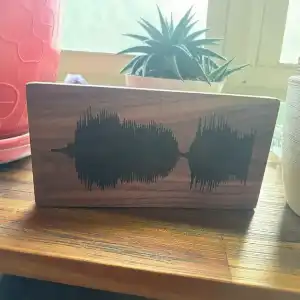 Soundwave art finished walnut